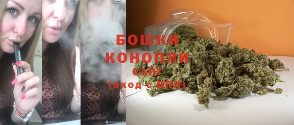 ешки Новозыбков