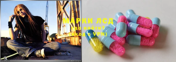 ешки Новозыбков