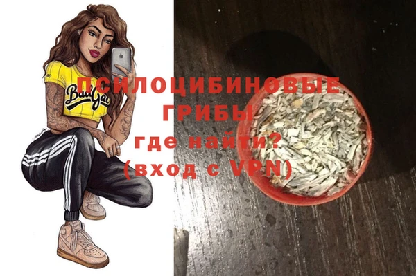 гидропоника Новодвинск