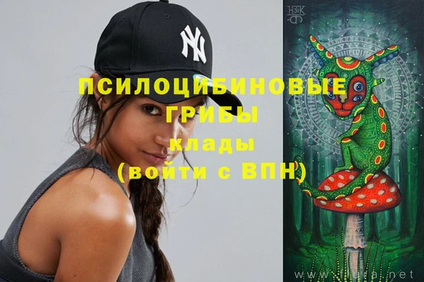 ешки Новокубанск