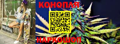 гидра Гусев