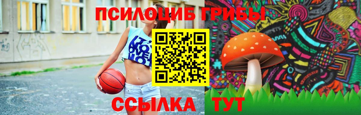 Галлюциногенные грибы Magic Shrooms Серов