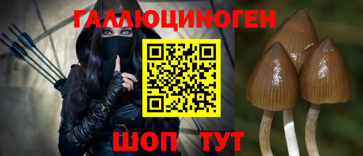 Псилоцибиновые грибы Cubensis  Вход с VPN  Серов  Псилоцибиновые грибы Psilocybe 
